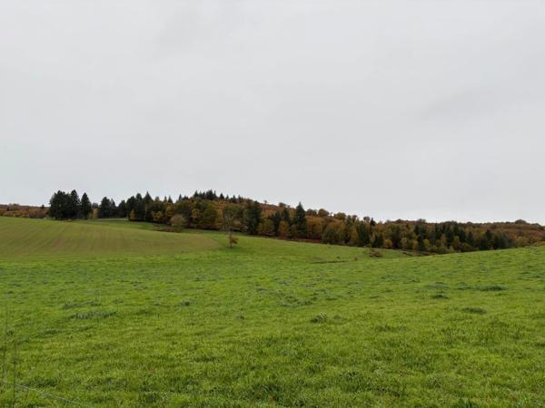 Maison ancienne avec grange et dépendances – Laroche-l’Abeille (87)