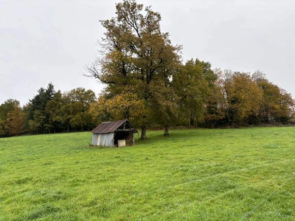Maison ancienne avec grange et dépendances – Laroche-l’Abeille (87)