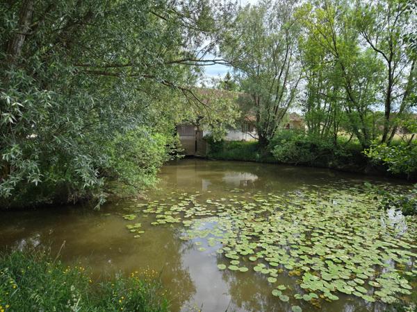 MOULIN