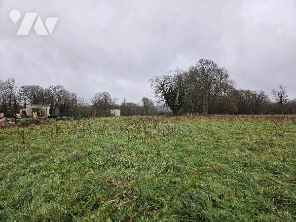 Terrain à bâtir à LA TRETOIRE (77510) - 12a 85ca.