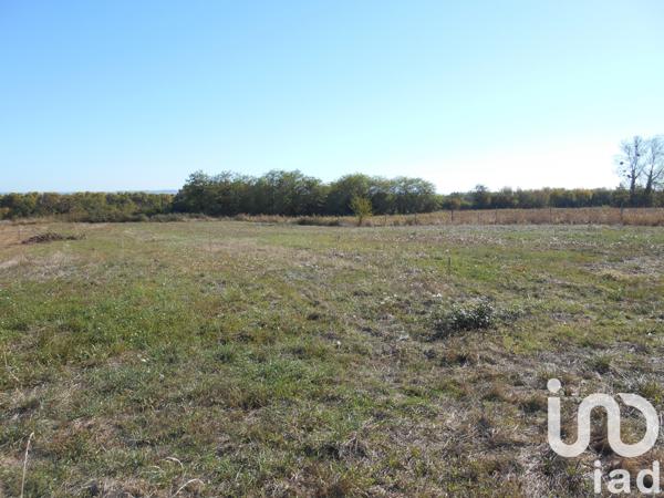 Terrain à vendre 1 542 m² Fourques-sur-Garonne