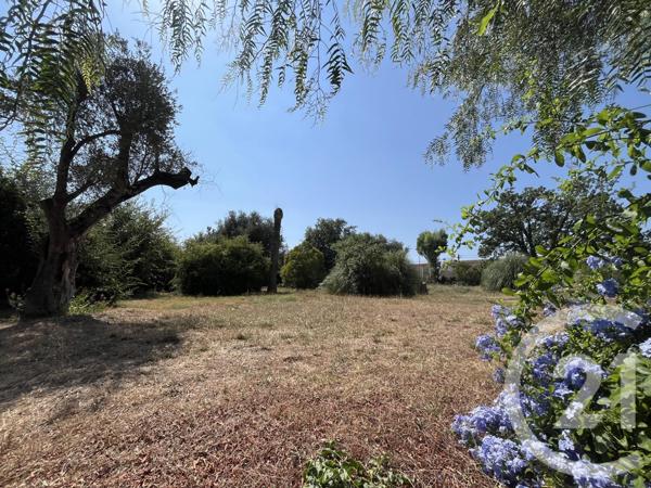 Terrain à vendre  2749 m2 ROQUEFORT LES PINS - 06