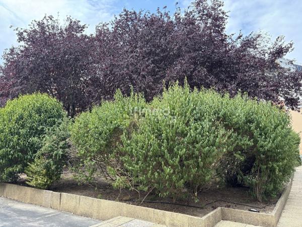 Appartement à vendre 77 m2 cave et parking