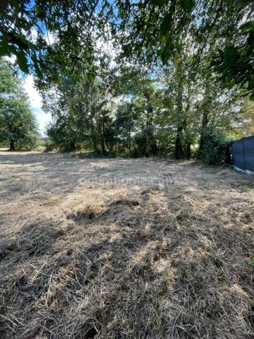 Terrain à bâtir libre de constructeur — À 3 km de la voie rapide 1 606,00 m² PLOERMEL (56)