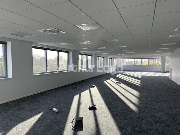 À louer : Bureaux premium au pied de la Gare Lille-Europe - Accessibilité & visibilité exceptionnelles