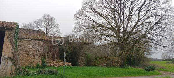 Maison en pierre de 132 m²