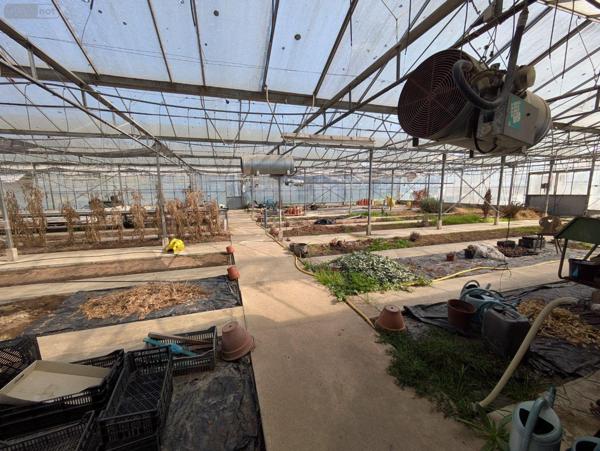 Maison à vendre à Changé dans la Sarthe (72560), ref : 16687/14