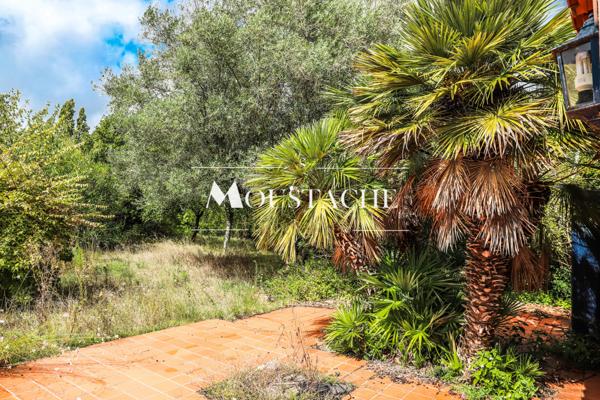 MAISON CHARENTAISE TYPIQUE - AU CALME & PROCHE CENTRE-VILLE -