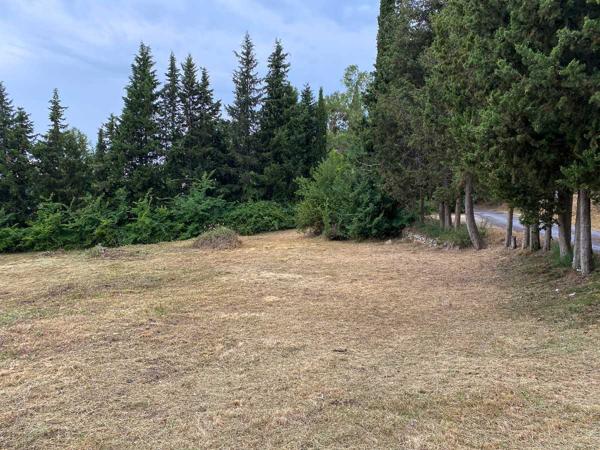 Vente / Terrain constructible
