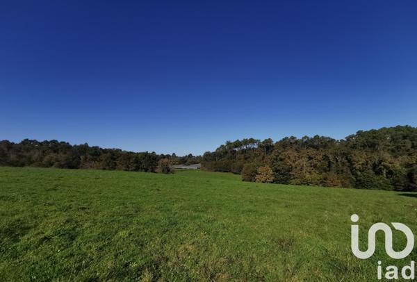 Terrain à vendre 3 600 m² Nabirat