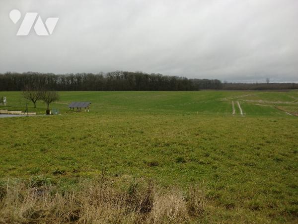 Construisez ici la maison dont vous rêvez