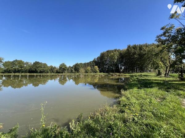 ETANG campagne Caulnes