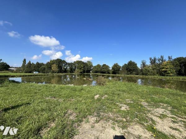 ETANG campagne Caulnes