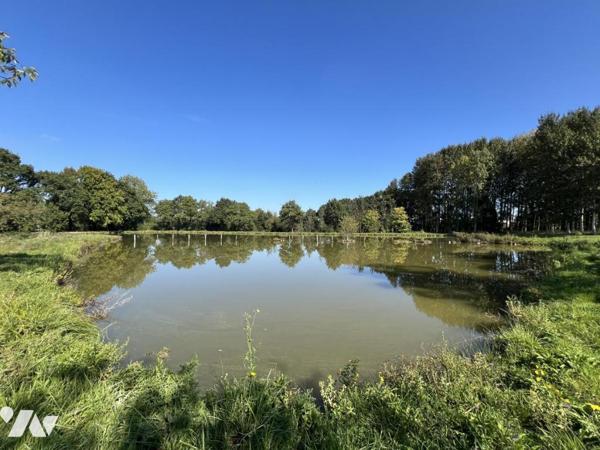 ETANG campagne Caulnes