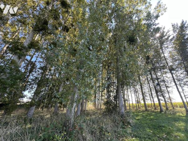 ETANG campagne Caulnes