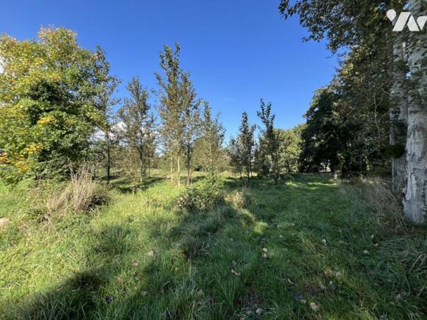 ETANG campagne Caulnes