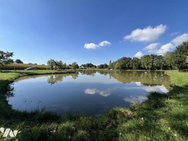 ETANG campagne Caulnes