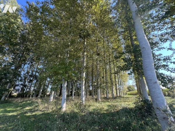 ETANG campagne Caulnes