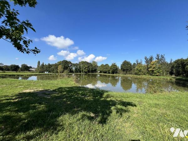 ETANG campagne Caulnes