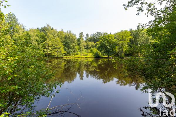 Terrain à vendre 39 973 m² Champnétery