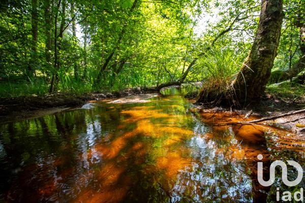 Terrain à vendre 39 973 m² Champnétery