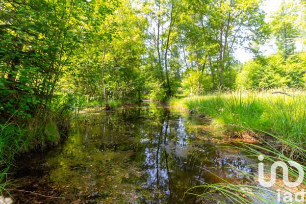 Terrain à vendre 39 973 m² Champnétery