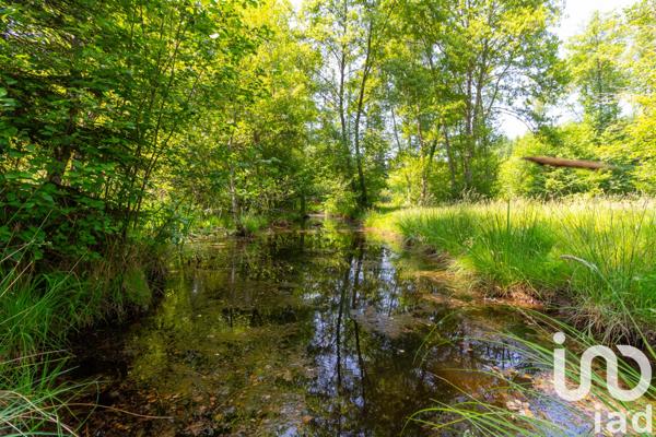 Terrain à vendre 39 973 m² Champnétery