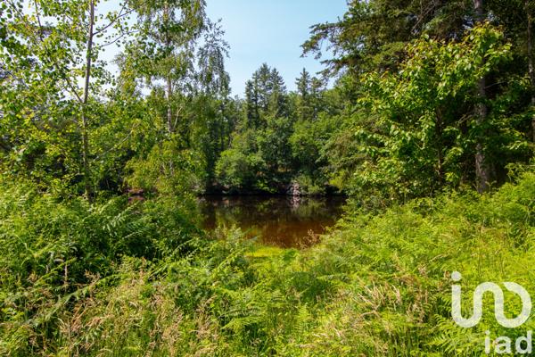 Terrain à vendre 39 973 m² Champnétery