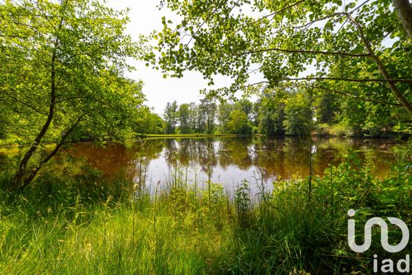 Terrain à vendre 39 973 m² Champnétery