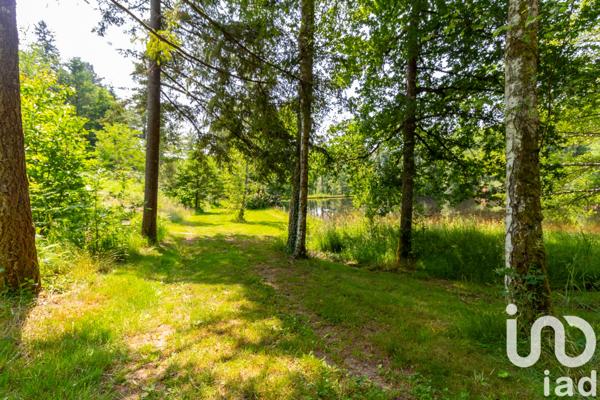 Terrain à vendre 39 973 m² Champnétery