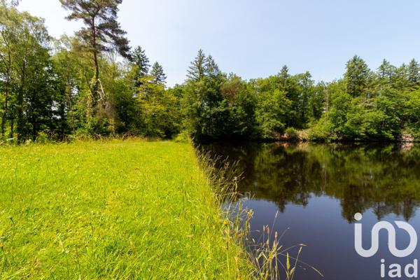 Terrain à vendre 39 973 m² Champnétery