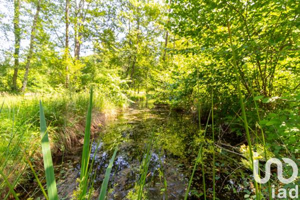 Terrain à vendre 39 973 m² Champnétery