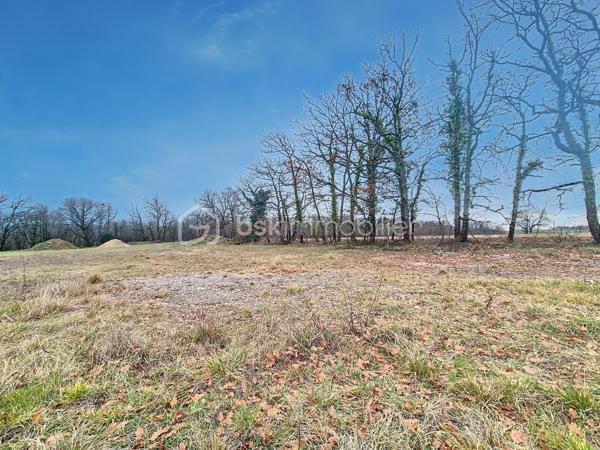 Terrain de 5 000 m²