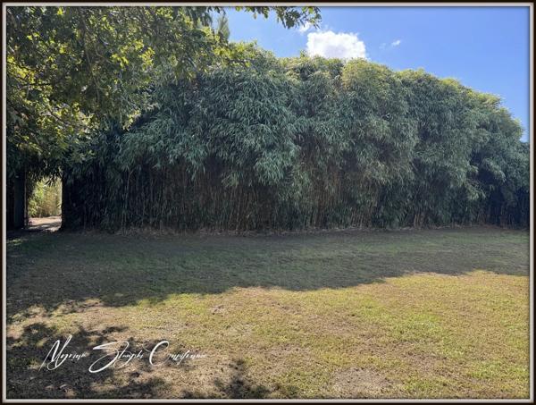 Maison à vendre 3 pièces  de 116 m² BENESSE MAREMNE (40) MAISON DE PLAIN-PIED