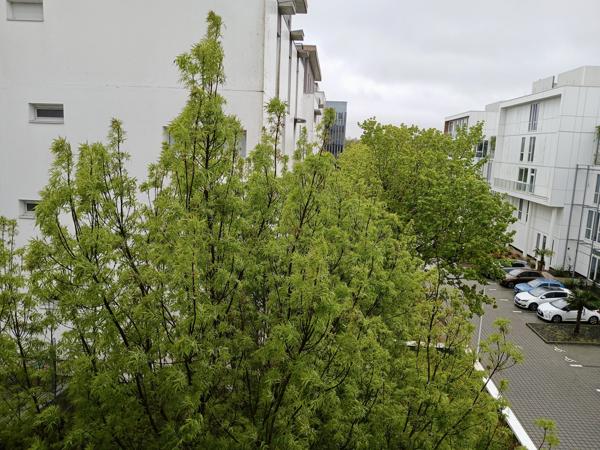 Appartement 1 pièce - 24 m² Exclusivité