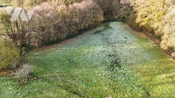 AUZOUER-EN-TOURAINE (37110) - Ensemble immobilier 16 pièces 374 m²