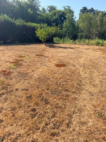 Achat - Maison | Maison individuelle Ambazac 87240 6 pièces 150 m 2 1211 m 2