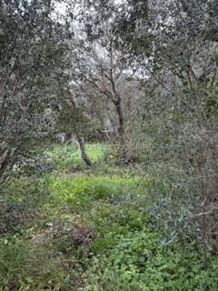 Terrain de 1 875 m²