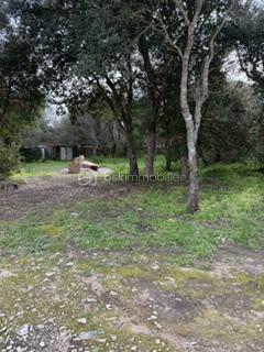 Terrain de 1 875 m²