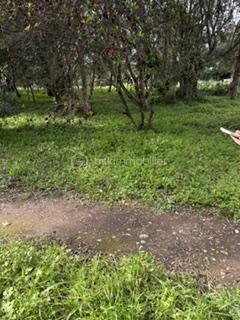 Terrain de 1 875 m²