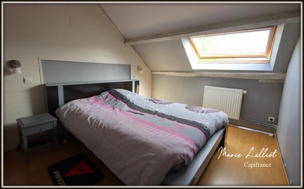 Dpt Loiret (45), à vendre PITHIVIERS immeuble, Appartement 3ch, studio en RDC, parling, jardin clos