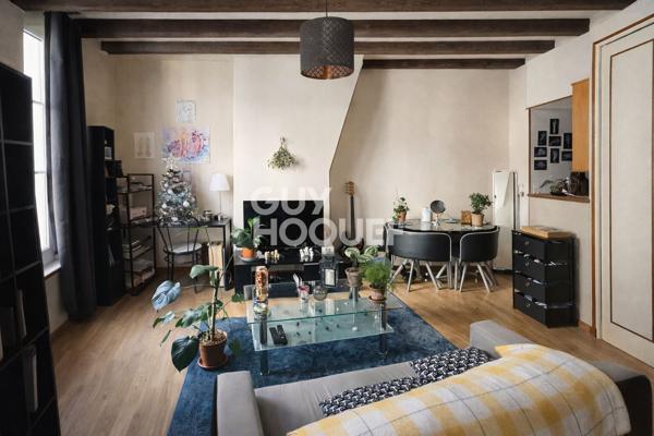 STUDIO - VIEUX TOURS - 26m²