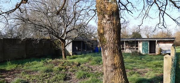 Terrain Besne 525 M2