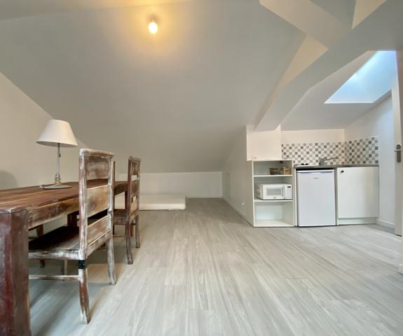 STUDIO MEUBLE POITIERS CENTRE 17.56 m²