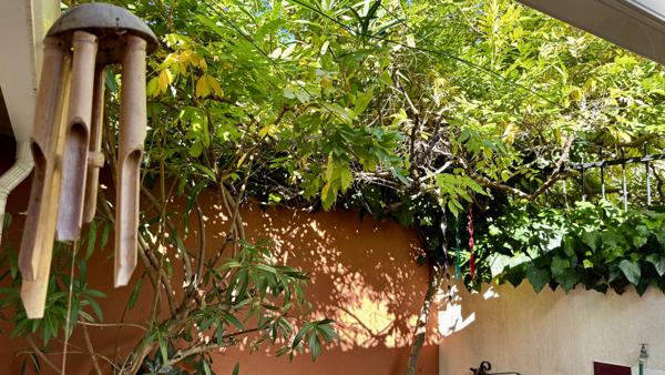 Palavas-les-Flots (34250) PALAVAS LES FLOTS CHARMANTE MAISON DE VILLAGE 3 PIÈCES PLEIN PIED +GRANDE TERRASSE