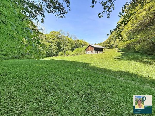 Vente / Ferme
