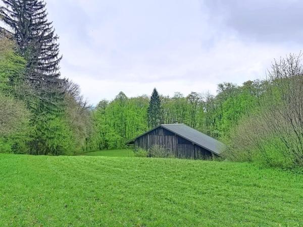 Vente / Ferme