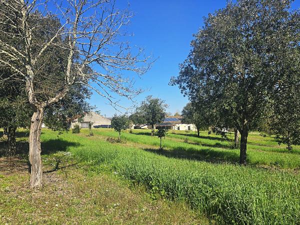 Lacaussade (47150) Bel ensemble en pierre - maison plain pied, studio indépendant, grange et Piscine sur 5000m²