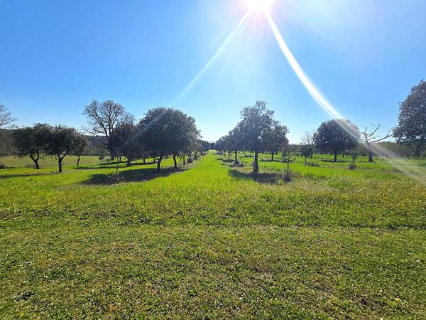Lacaussade (47150) Bel ensemble en pierre - maison plain pied, studio indépendant, grange et Piscine sur 5000m²