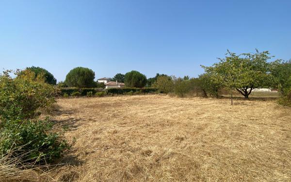 Terrain à vendre